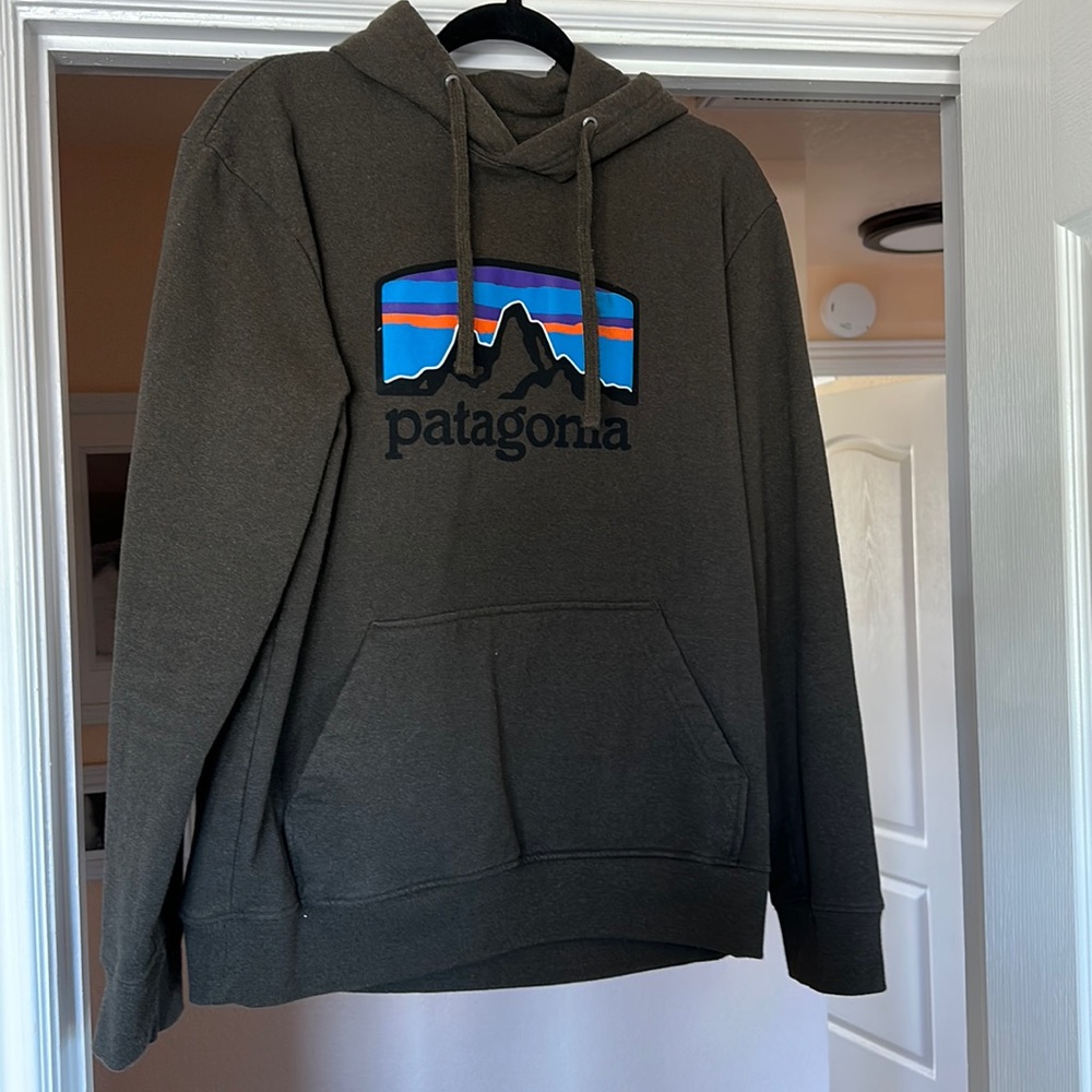 Patagonia Mens Medium Brown Hoodie
